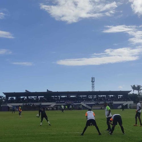 Les cigognes prennent de la hauteur