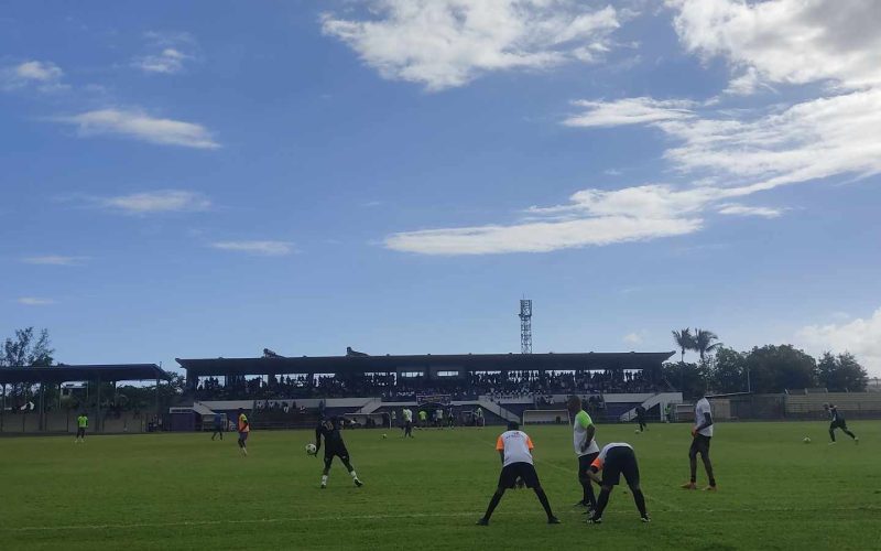 Les cigognes prennent de la hauteur