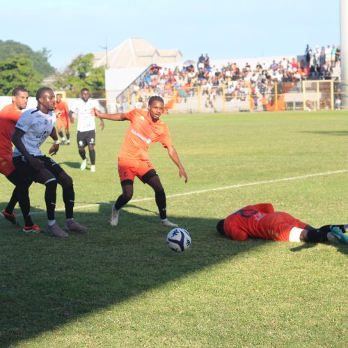 Les Cigognes font danser les Tangos